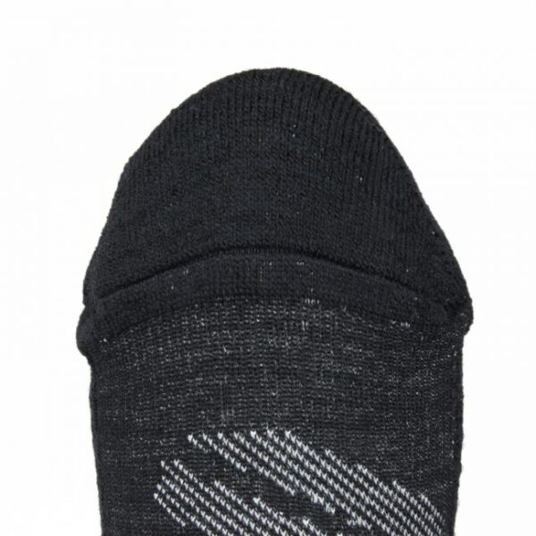 Womens Merino 10k No Show Tab Socks