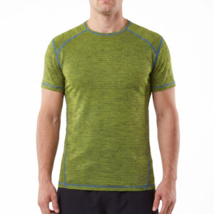 Mens MerinoFusion Light 160 Short Sleeve Tee Top